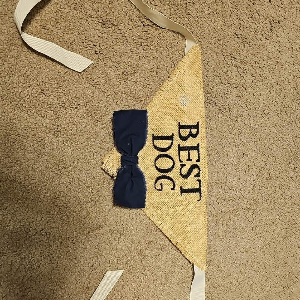 Best Dog Bandana with Navy Bow Wedding